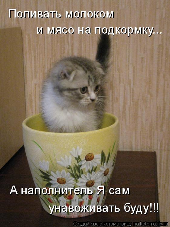 Поливать молоком и мясо на подкормку... А наполнитель Я сам унавоживать буду!!!... Котоматрица: Поливать молоком и мясо на подкормку... А наполнитель Я сам унавоживать буду!!!