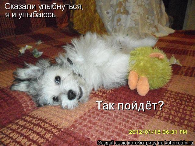 Котоматрица: Сказали улыбнуться, я и улыбаюсь. Так пойдёт?