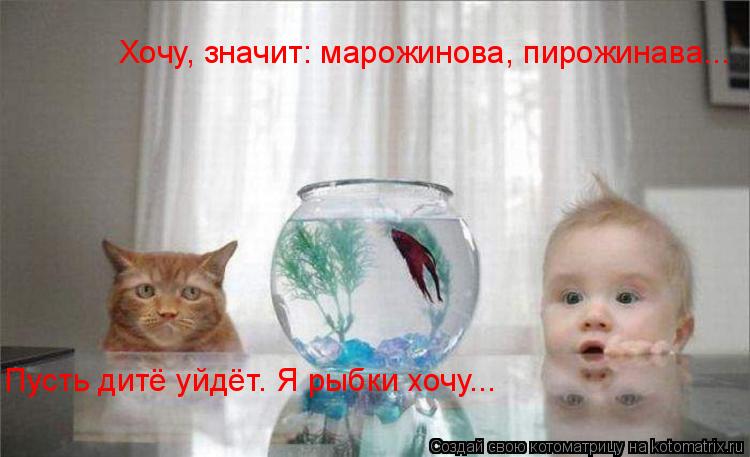 Котоматрица: Хочу, значит: марожинова, пирожинава... Пусть дитё уйдёт. Я рыбки хочу...