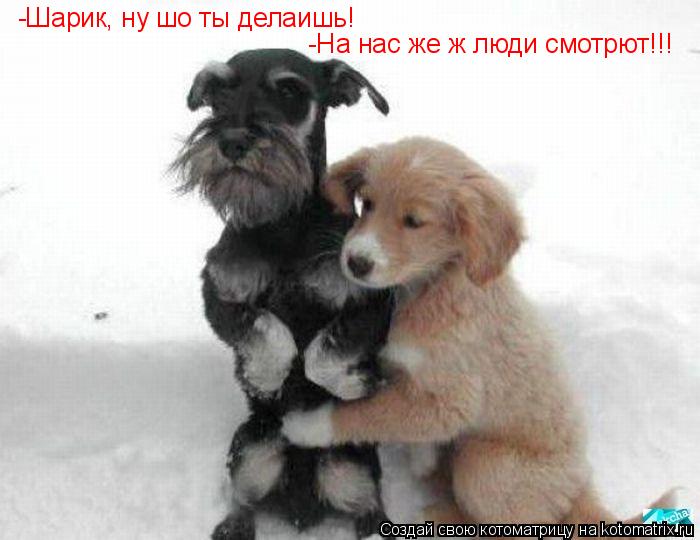 Котоматрица: -Шарик, ну шо ты делаишь! -На нас же ж люди смотрют!!!