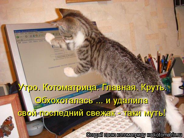Утро. Котоматрица. Главная. Круть. Обхохоталась ... и удалила свой последний свежак - таки муть!... Котоматрица: Утро. Котоматрица. Главная. Круть. Обхохоталась ... и удалила свой последний свежак - таки муть!