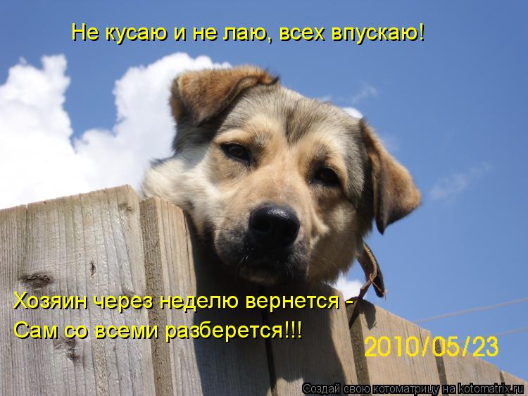 Не кусаю и не лаю, всех впускаю! Хозяин через неделю вернется - Сам со всеми разберется!!!... Котоматрица: Не кусаю и не лаю, всех впускаю! Хозяин через неделю вернется - Сам со всеми разберется!!!