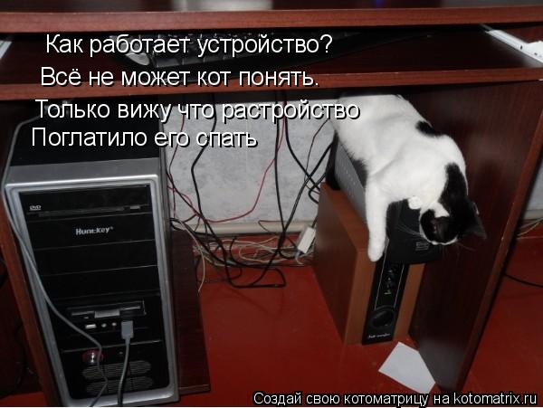 Как работает устройство? Всё не может кот понять. Только вижу что растройство Поглатило его спать... Котоматрица: Как работает устройство? Всё не может кот понять. Только вижу что растройство Поглатило его спать