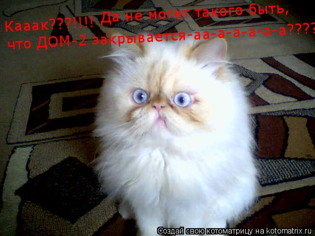 Кааак???!!!! Да не могет такого быть, что ДОМ-2 закрывается-аа-а-а-а-а-а?????!!!!... Котоматрица: Кааак???!!!! Да не могет такого быть, что ДОМ-2 закрывается-аа-а-а-а-а-а?????!!!!