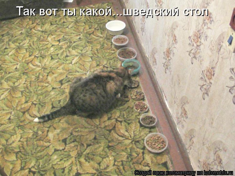 Так вот ты какой...шведский стол... Котоматрица: Так вот ты какой...шведский стол