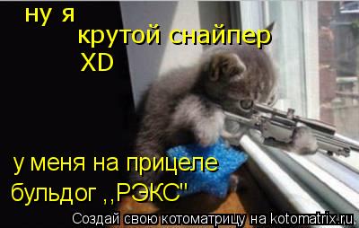 крутой снайпер XD у меня на прицеле ну я бульдог ,,РЭКС"... Котоматрица: крутой снайпер XD у меня на прицеле ну я бульдог ,,РЭКС"