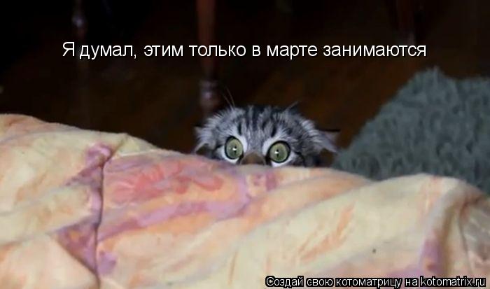 Я думал, этим только в марте занимаются... Котоматрица: Я думал, этим только в марте занимаются