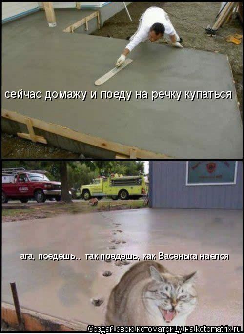 сейчас домажу и поеду на речку купаться ага, поедешь.. так поедешь, как Васенька наелся... Котоматрица: сейчас домажу и поеду на речку купаться ага, поедешь.. так поедешь, как Васенька наелся