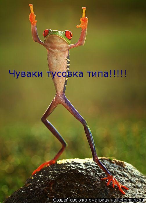 Чуваки тусовка типа!!!!!... Котоматрица: Чуваки тусовка типа!!!!!