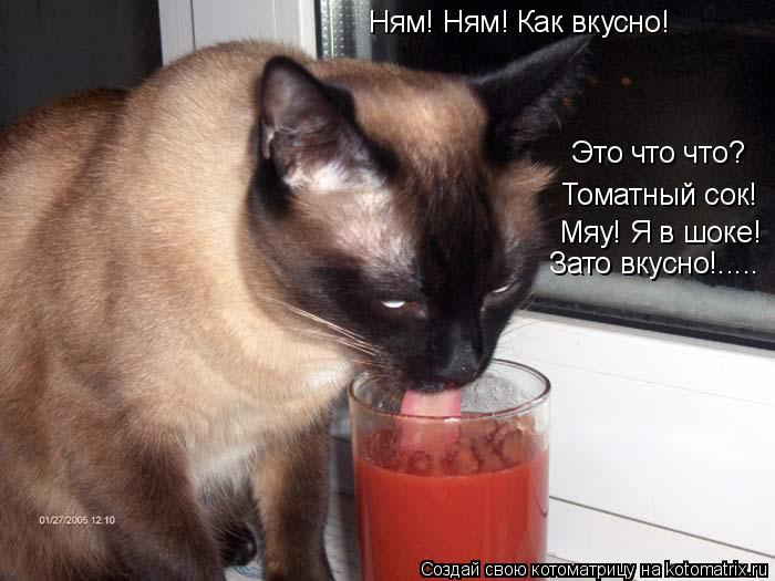 Ням! Ням! Как вкусно! Это что что? Томатный сок! Мяу! Я в шоке! Зато вкусно!........ Котоматрица: Ням! Ням! Как вкусно! Это что что? Томатный сок! Мяу! Я в шоке! Зато вкусно!.....