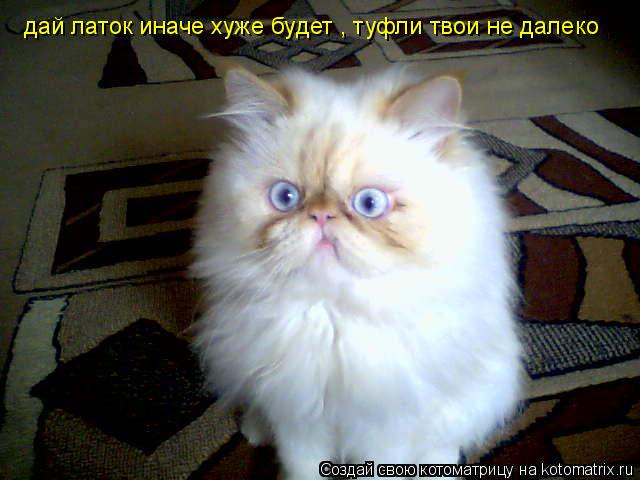 дай латок иначе хуже будет , туфли твои не далеко... Котоматрица: дай латок иначе хуже будет , туфли твои не далеко