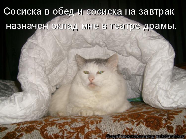 Сосиска в обед и сосиска на завтрак назначен оклад мне в театре драмы.... Котоматрица: Сосиска в обед и сосиска на завтрак назначен оклад мне в театре драмы.