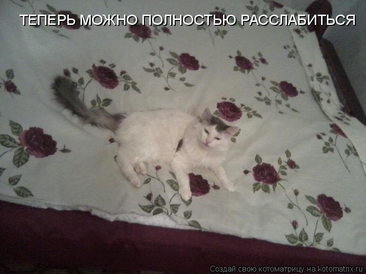 ТЕПЕРЬ МОЖНО ПОЛНОСТЬЮ РАССЛАБИТЬСЯ... Котоматрица: ТЕПЕРЬ МОЖНО ПОЛНОСТЬЮ РАССЛАБИТЬСЯ