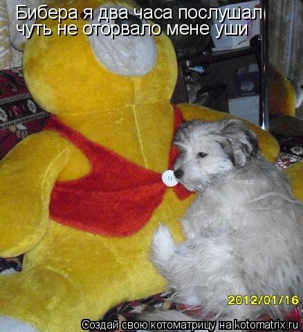 Бибера я два часа послушал чуть не оторвало мене уши... Котоматрица: Бибера я два часа послушал чуть не оторвало мене уши