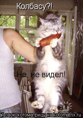 Колбасу?! Не, не видел!... Котоматрица: Колбасу?! Не, не видел!