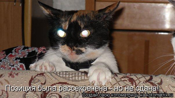 Позиция была рассекречена - но не сдана!... Котоматрица: Позиция была рассекречена - но не сдана!