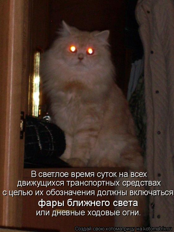 В светлое время суток на всех движущихся транспортных средствах с целью их обозначения должны включ... Котоматрица: В светлое время суток на всех движущихся транспортных средствах с целью их обозначения должны включаться фары ближнего света или дневны