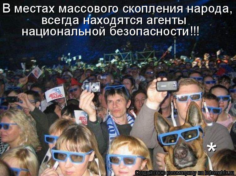 В местах массового скопления народа, всегда находятся агенты национальной безопасности!!! *... Котоматрица: В местах массового скопления народа, всегда находятся агенты национальной безопасности!!! *