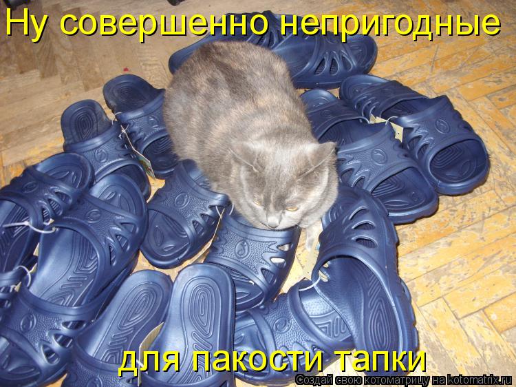 для пакости тапки Ну совершенно непригодные... Котоматрица: для пакости тапки Ну совершенно непригодные