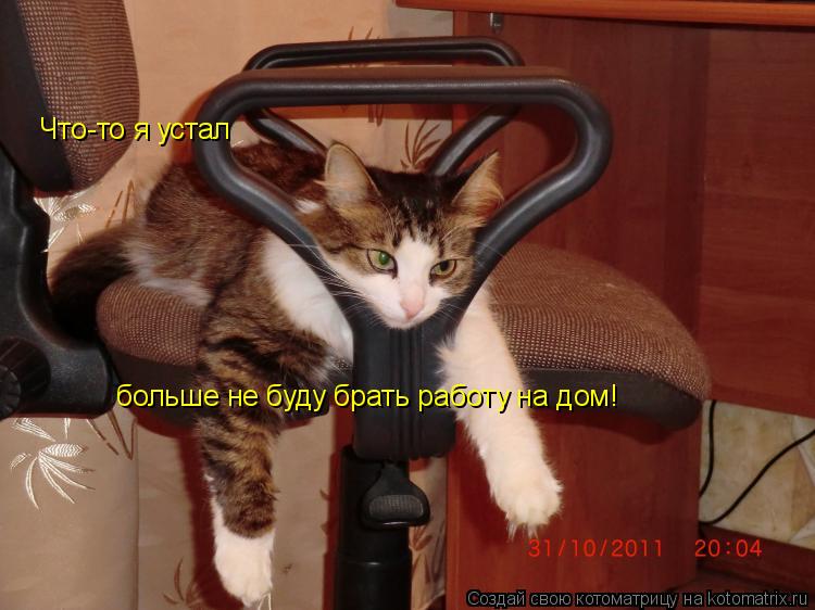 Что-то я устал больше не буду брать работу на дом!... Котоматрица: Что-то я устал больше не буду брать работу на дом!