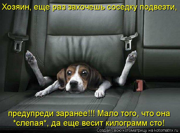 *слепая*, да еще весит килограмм сто! предупреди заранее!!! Мало того, что она Хозяин, еще раз захоче... Котоматрица: *слепая*, да еще весит килограмм сто! предупреди заранее!!! Мало того, что она Хозяин, еще раз захочешь соседку подвезти,