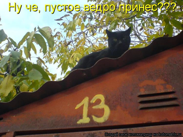 Котоматрица: Ну че, пустое ведро принес???