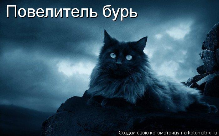 Котоматрица: Повелитель бурь