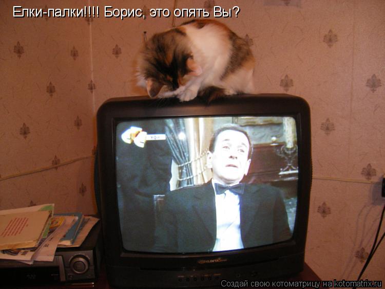 Котоматрица: Елки-палки!!!! Борис, это опять Вы?