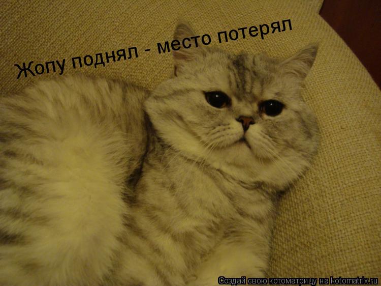 Котоматрица: Жопу поднял - место потерял