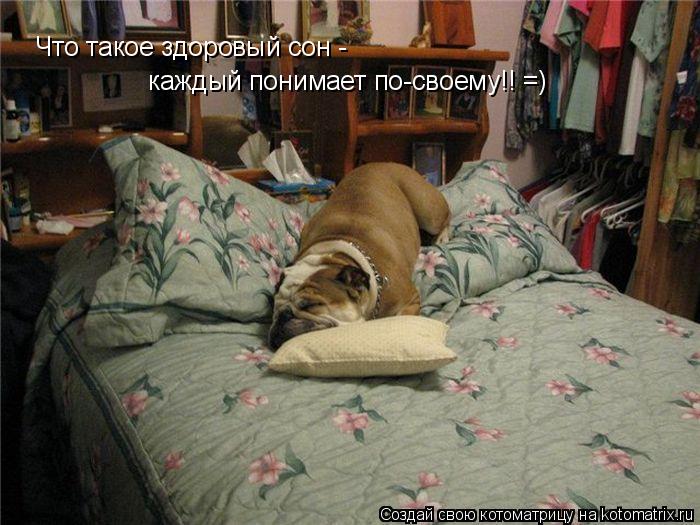 Котоматрица: Что такое здоровый сон - каждый понимает по-своему!!!=) Что такое здоровый сон -  каждый понимает по-своему!! =)