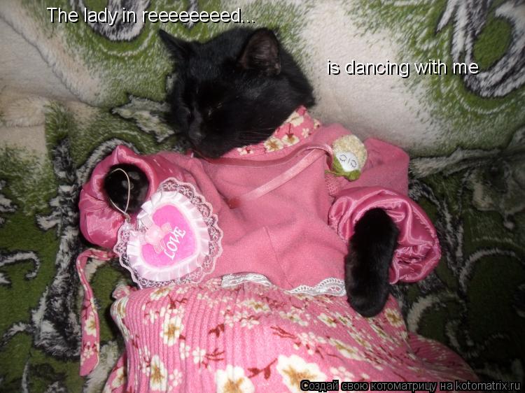 Котоматрица: is dancing with me The lady in reeeeeeeed...