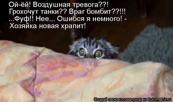 Котоматрица: Ой-ёй! Воздушная тревога??! Грохочут танки?? Враг бомбит??!!! ...Фуф!! Нее... Ошибся я немного! - Хозяйка новая храпит!