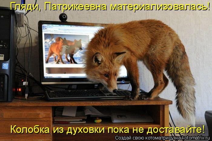 Котоматрица: Гляди, Патрикеевна материализовалась! Колобка из духовки пока не доставайте!