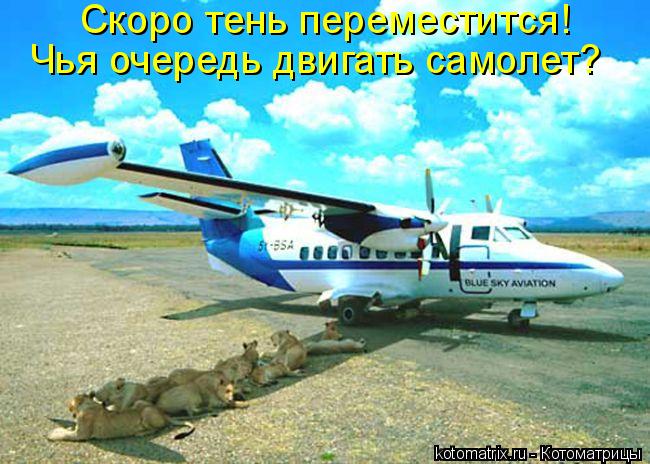 Котоматрица: Скоро тень переместится! Чья очередь двигать самолет?