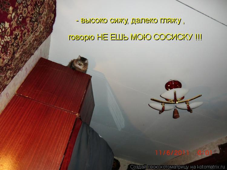 Котоматрица: - высоко сижу, далеко гляжу ,  говорю НЕ ЕШЬ МОЮ СОСИСКУ !!!