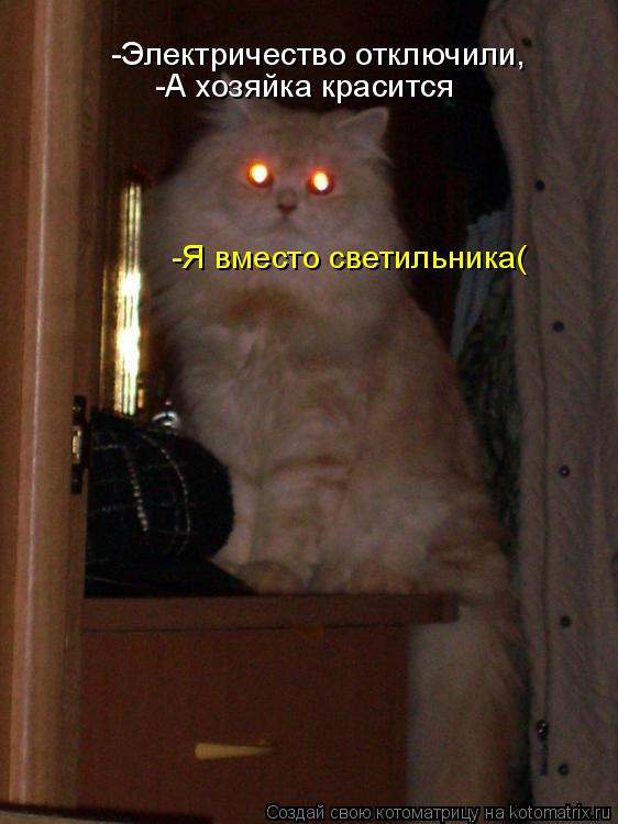 Котоматрица: -Электричество отключили, -А хозяйка красится -Я вместо светильника(