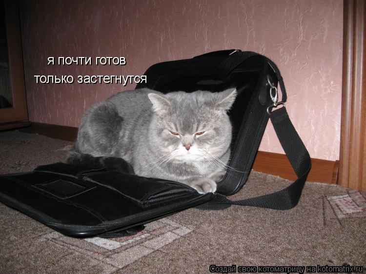 Котоматрица: я почти готов  только застегнутся