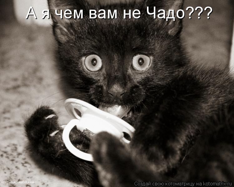 А я чем вам не Чадо???... Котоматрица: А я чем вам не Чадо???