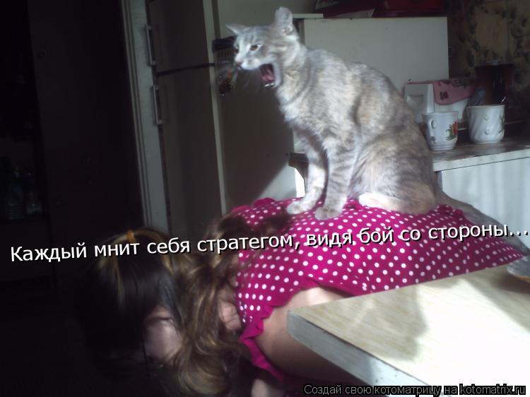 Каждый мнит себя стратегом, видя бой со стороны... Каждый мнит себя стратегом, видя бой со стороны...... Котоматрица: Каждый мнит себя стратегом, видя бой со стороны... Каждый мнит себя стратегом, видя бой со стороны...