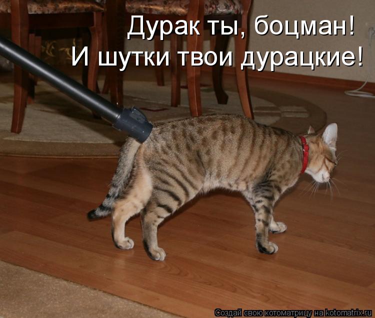 Дурак ты, боцман! И шутки твои дурацкие!... Котоматрица: Дурак ты, боцман! И шутки твои дурацкие!