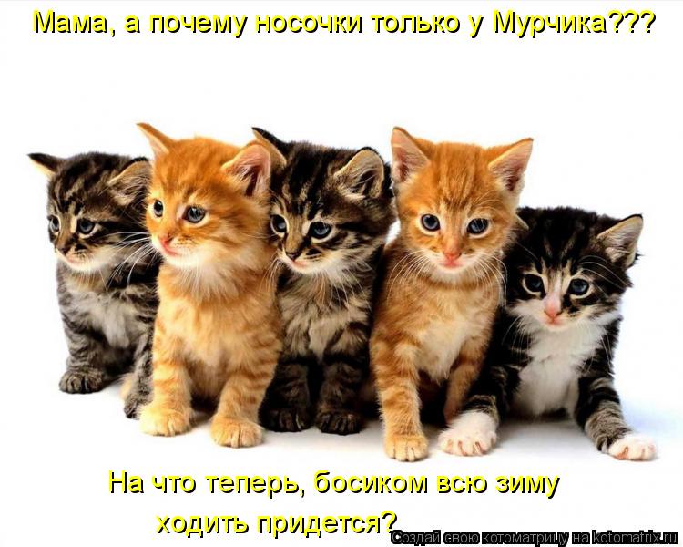 Мама, а почему носочки только у Мурчика??? На что теперь, босиком всю зиму ходить придется?... Котоматрица: Мама, а почему носочки только у Мурчика??? На что теперь, босиком всю зиму ходить придется?