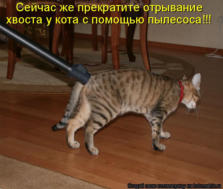 Котоматрица: Сейчас же прекратите отрывание  хвоста у кота с помощью пылесоса!!!