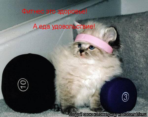 Котоматрица: Фитнес это здоровье! А еда удовольствие!