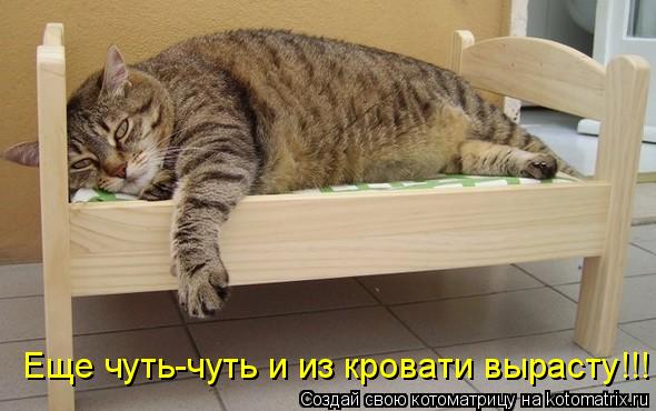 Котоматрица: Еще чуть-чуть и из кровати вырасту!!!
