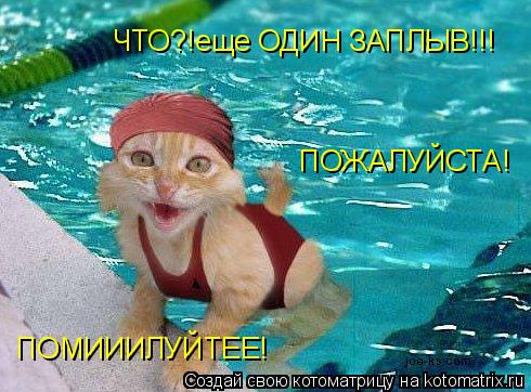 Котоматрица: ЧТО?!еще ОДИН ЗАПЛЫВ!!! ПОЖАЛУЙСТА! ПОМИИИЛУЙТЕЕ!
