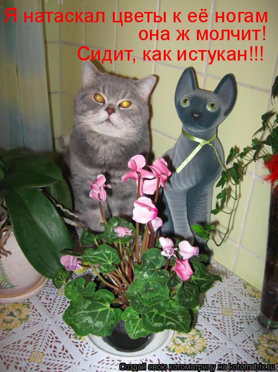 Котоматрица: Я натаскал цветы к её ногам она ж молчит! Сидит, как истукан!!!