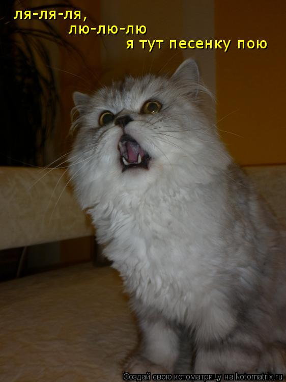 Котоматрица: ля-ля-ля, лю-лю-лю я тут песенку пою