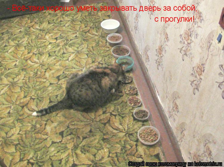 Котоматрица: - Всё-таки хорошо уметь закрывать дверь за собой, с прогулки!