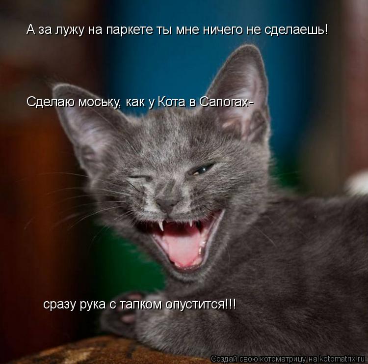 Котоматрица: А за лужу на паркете ты мне ничего не сделаешь! Сделаю моську, как у Кота в Сапогах- сразу рука с тапком опустится!!!