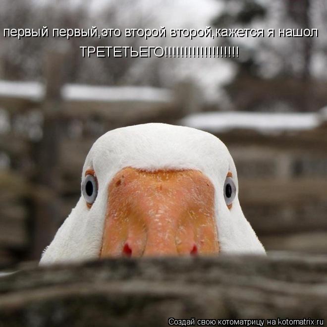 Котоматрица: первый первый,это второй второй,кажется я нашол  ТРЕТЕТЬЕГО!!!!!!!!!!!!!!!!!!!